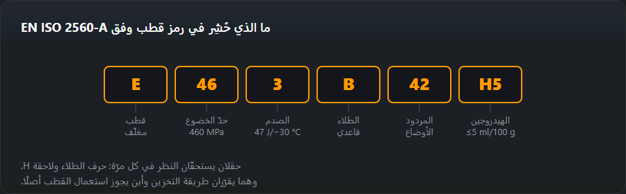 تفكيك رمز القطب E 46 3 B 42 H5 إلى حقوله: النوع والمقاومة والصدم والطلاء والمردود والأوضاع والهيدروجين