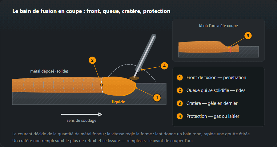 Coupe le long de la soudure : derrière l’électrode, le métal fondu solidifié avec ses arcs de solidification, sous l’arc le bain liquide avec son front de fusion et sa queue de solidification, autour de lui la protection gazeuse ou de laitier, et à côté un cratère fissuré en fin de cordon